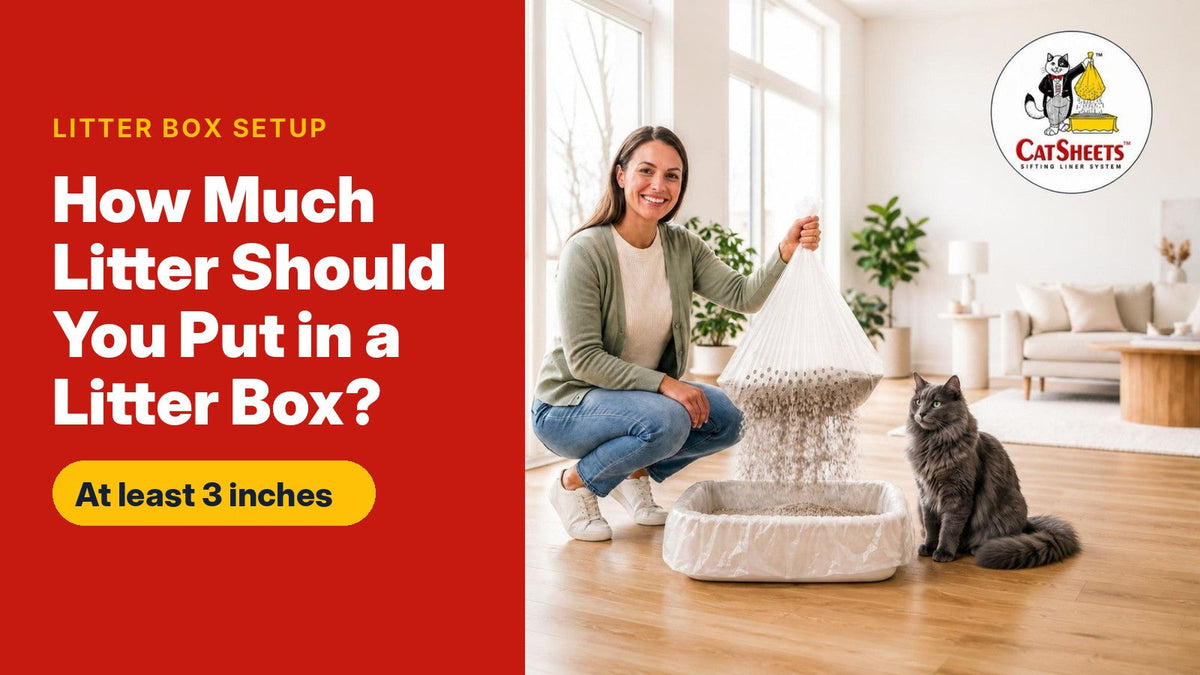 How Much Litter Should You Put in a Litter Box?