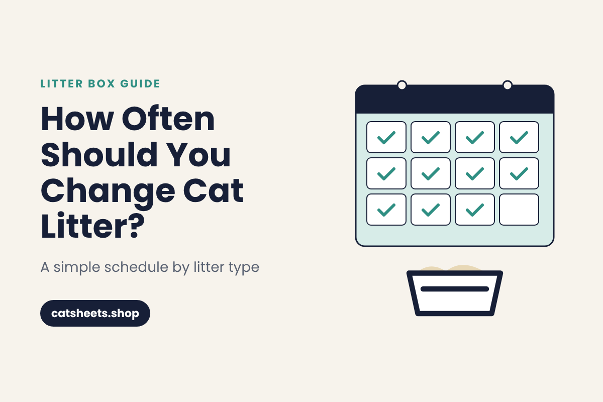 How Often Should You Change Cat Litter? A Simple Schedule by Litter Type