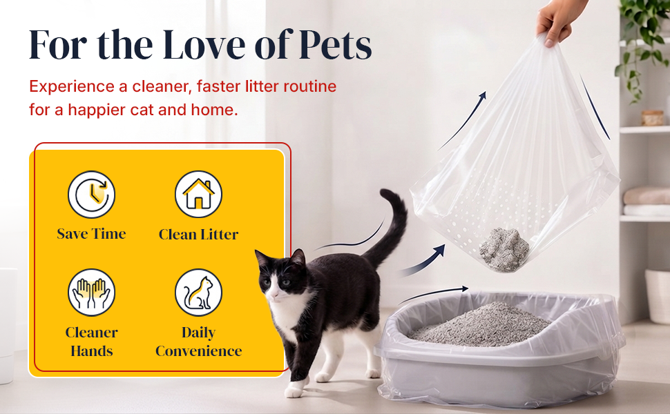 Cat beside a CatSheets litter box